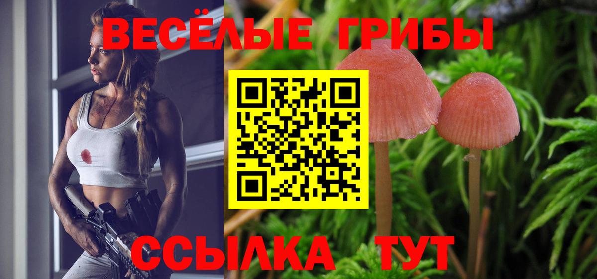 Псилоцибиновые грибы прущие грибы  Вход с VPN  Кемерово  Псилоцибиновые грибы Psilocybe 